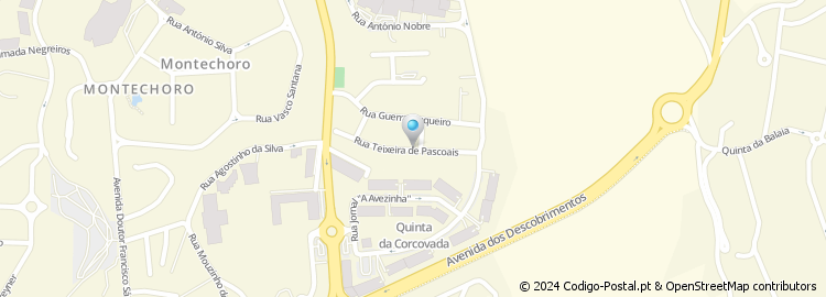 Mapa de Rua Teixeira Pascoais