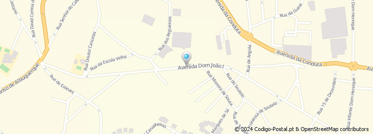 Mapa de Avenida de Dom João i