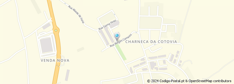 Mapa de Rua Borges Carneiro