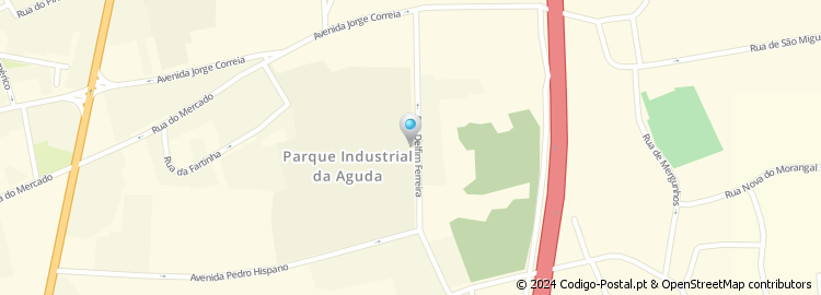 Mapa de Bairro Delfim Ferreira